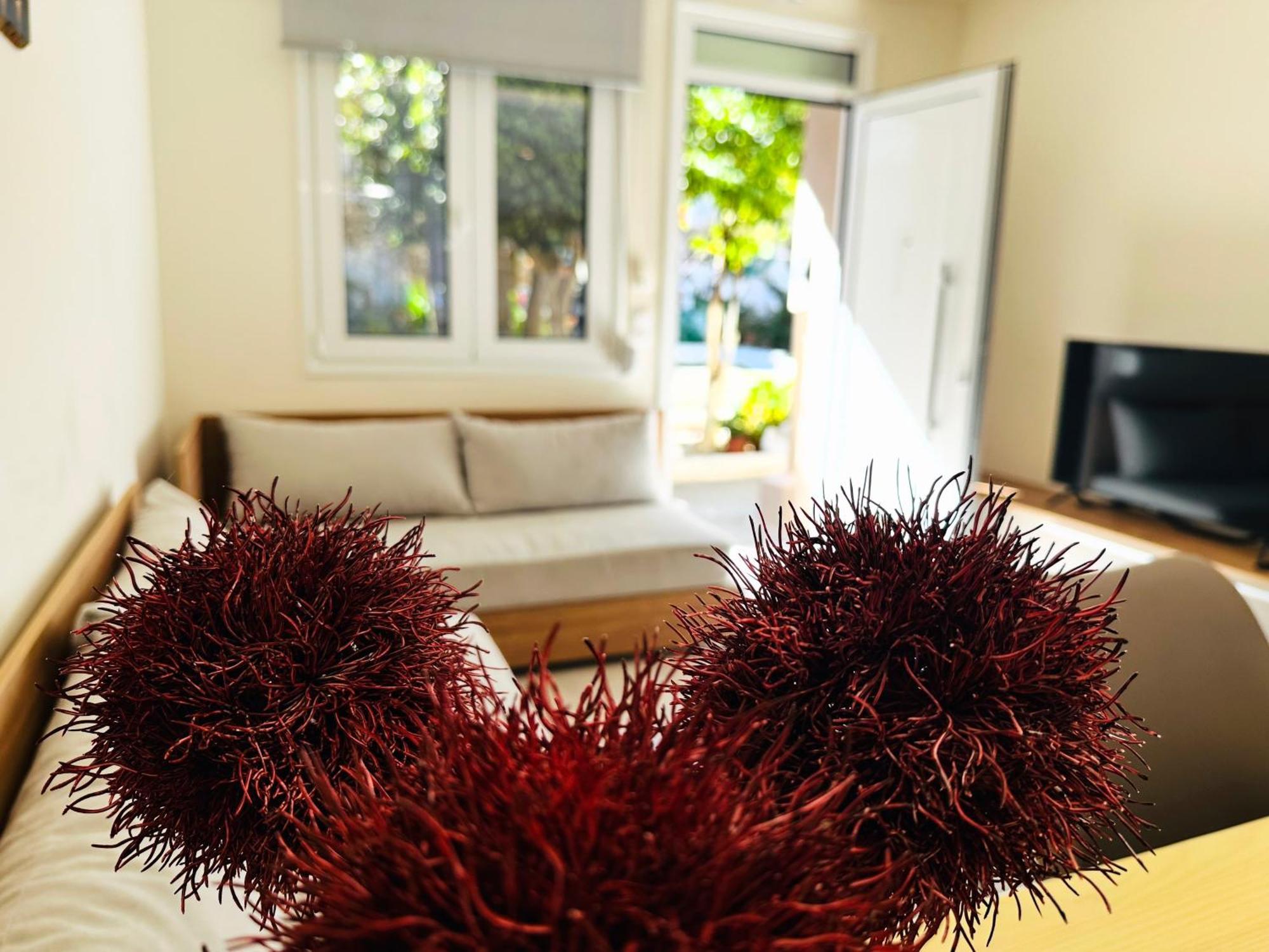Apartament Matina *